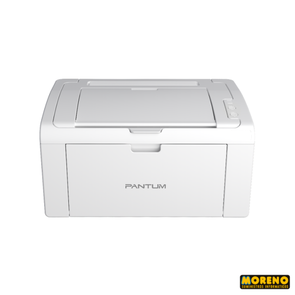 Pantum P2509W