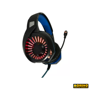 hsg 603
