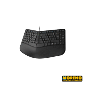 TEC C/CABLE ERGONOMICO GENIUS RGO KB-700 NEGRO
