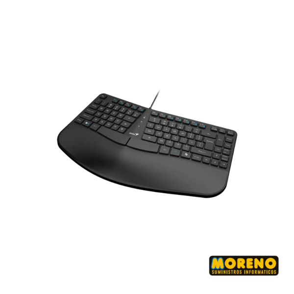 TEC C/CABLE ERGONOMICO GENIUS RGO KB-700 NEGRO - Imagen 4