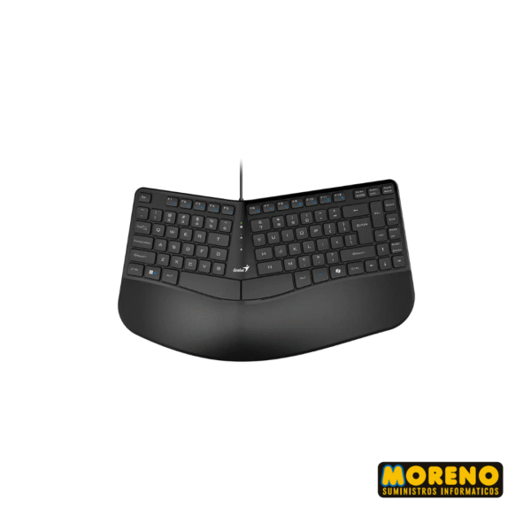 TEC C/CABLE ERGONOMICO GENIUS RGO KB-700 NEGRO - Imagen 2