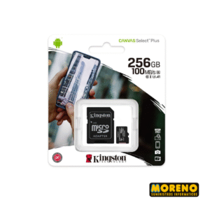 SD + MICRO  256 GB KINGSTON  256 GB GB CLASE 10